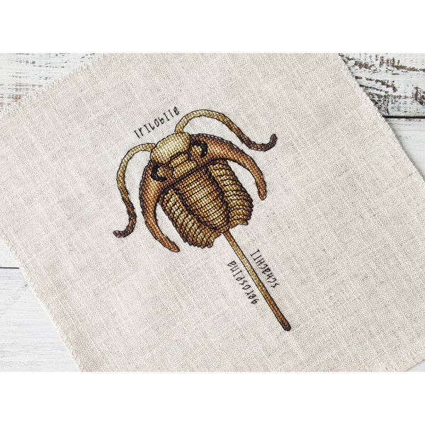 Completed Cross Stitch Trilobite fossil