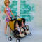 Summer- baby- carriage- for- two- dolls