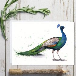 Bird painting, peacock watercolor paintings, handmade bird watercolor birds painting by Anne Gorywine