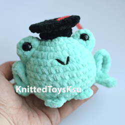 graduation leggy frog plushie birthday gift for best friend, roommate gift Graduate gift ideas
