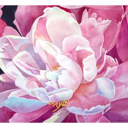 peony flower watercolor painting floral original art botanical art