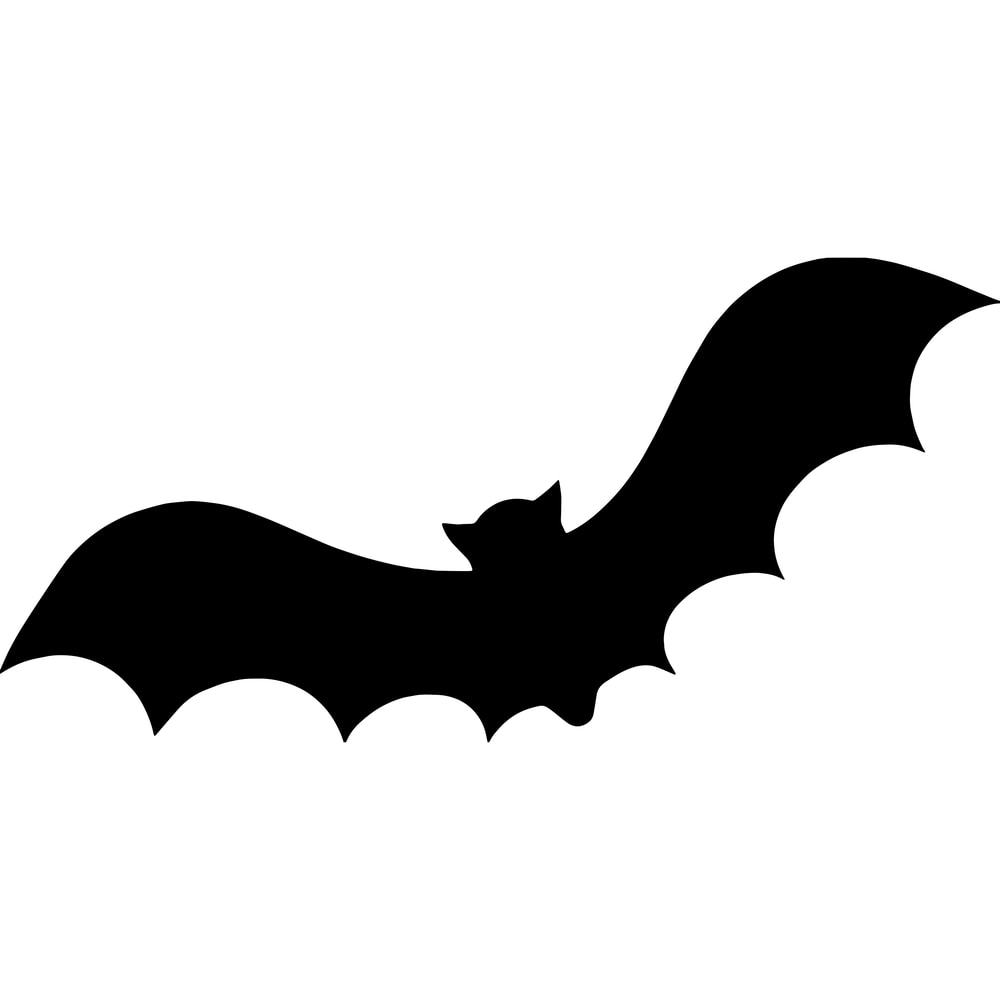 Bat 2.png