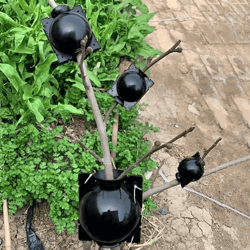 Plant Propagation Root Growing Box