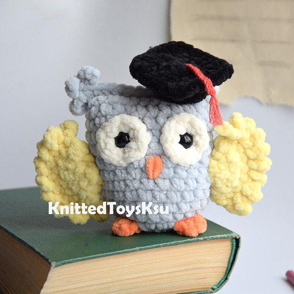 graduation-owl-gift