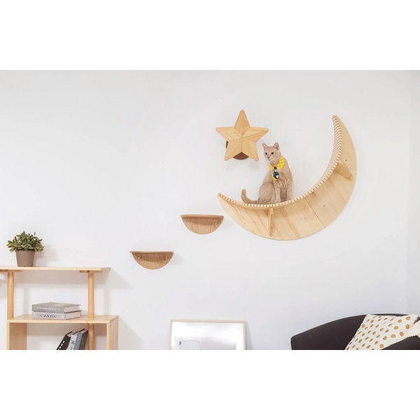 cat-is-climbing-on-the-moon-cat-shelf
