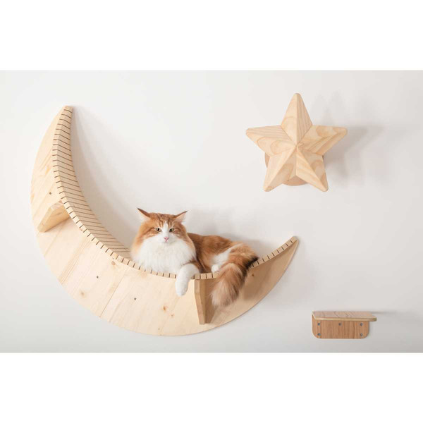 cat-is-resting-on-the-cat-shelf-2