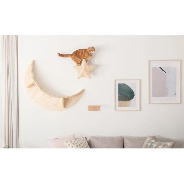 cat-is-balancing-on-the-star-cat-shelf-on-the-wall