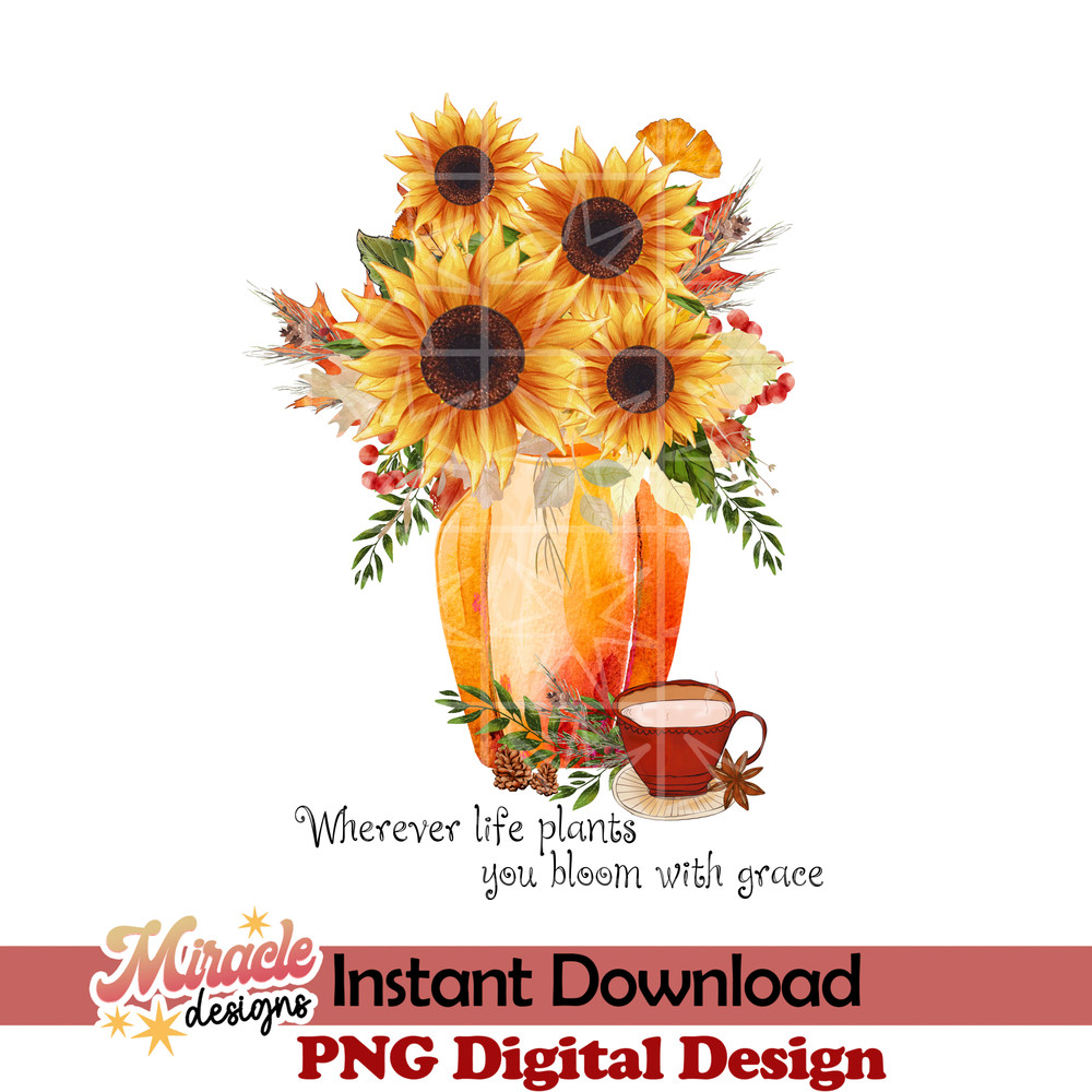 SP02062209-Fall into autumn sublimation.jpeg