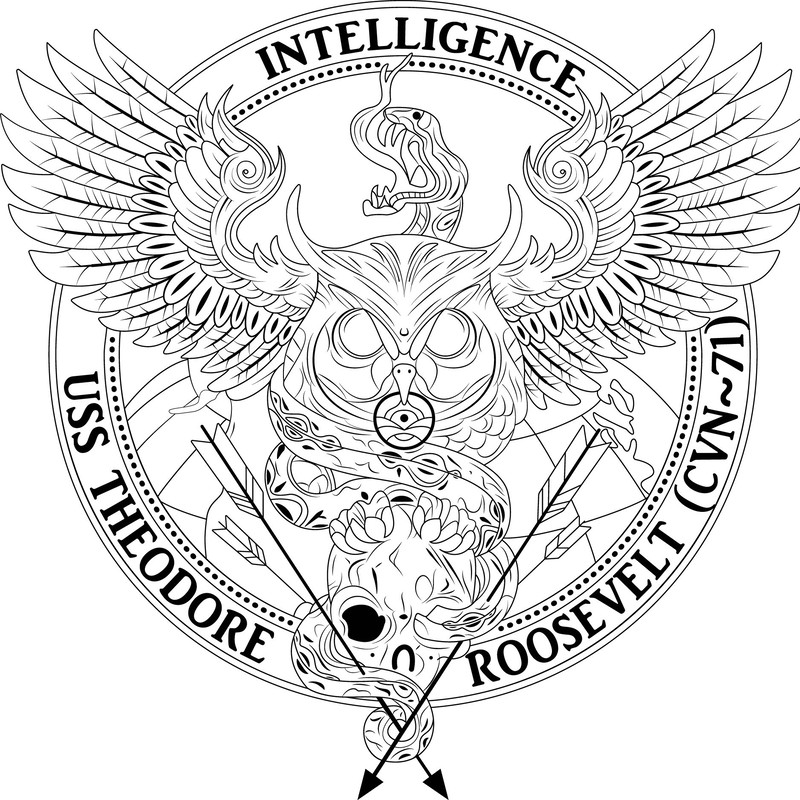 USS THE ODORE ROOSEVELT INTELLIGENCE CVN 71.jpg