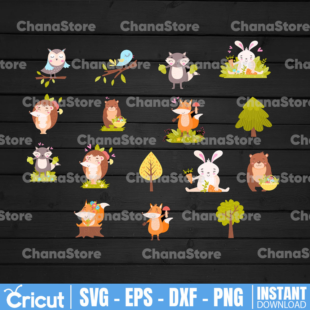 ChanaStore.jpg