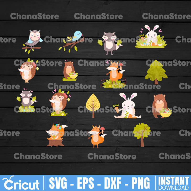 ChanaStore.jpg