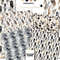 Pres 2 seamless patterns copy.jpg