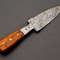 Masterpiece-of-the-Wild The-SK-82-US-Custom-Handmade-Damascus-Steel-Hunting-Skinner-Knife (5).jpg