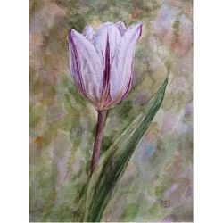"Tulip" Flower Original Wall Art Painting Watercolor Artwork, 15x20cm.