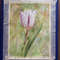 tulip watercolor painting 3 20x15cm.jpg