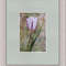 watercolor painting tulip 20x15cm1.jpg