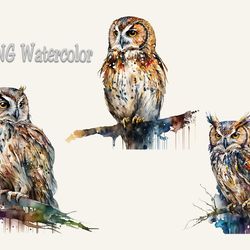 03 files of owl watercolor, animal png, owl png, baby owl png