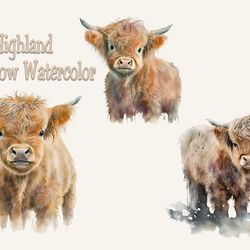 baby highland cow watercolor, animal png, baby highland cow png