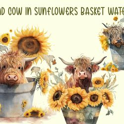 highland cow in sunflowers basket png, animal png, highland cow png