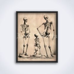 Family of Skeletons medical art medicine anatomy dark printable art print poster Digital Download