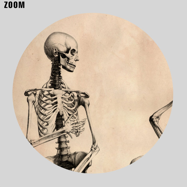 bertinatti_skeletonsfamily-zoom.jpg