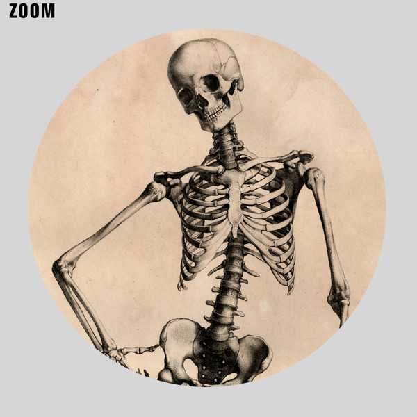bertinatti_skeletonsfamily-zoom1.jpg