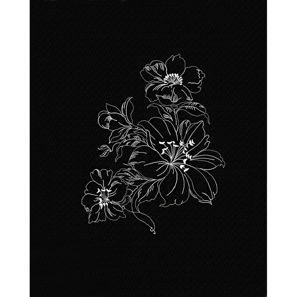 Lily flower on black background.jpg