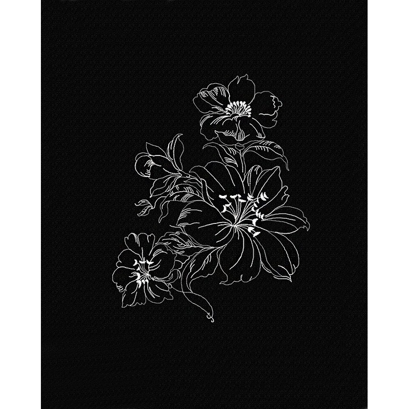 Lily flower on black background.jpg