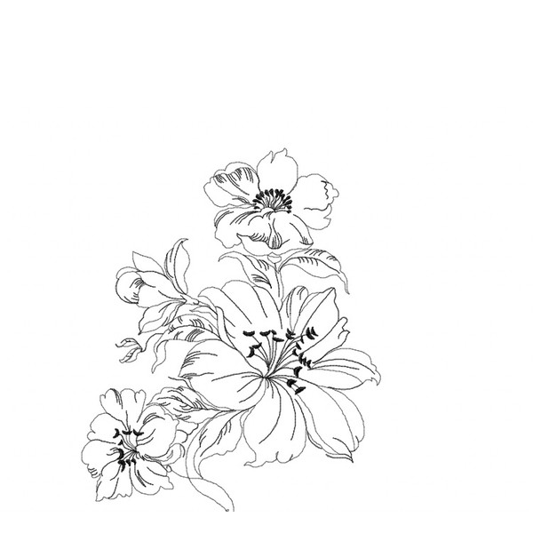 lily flower on white background.jpg