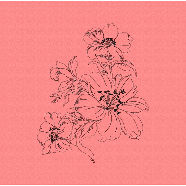 pink lily flower.jpg