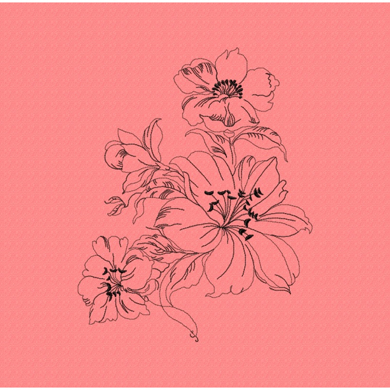 pink lily flower.jpg