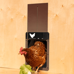 Reliable and Automatic Chicken House Door Opener - Hassle-Free Solution for Poultry Owners