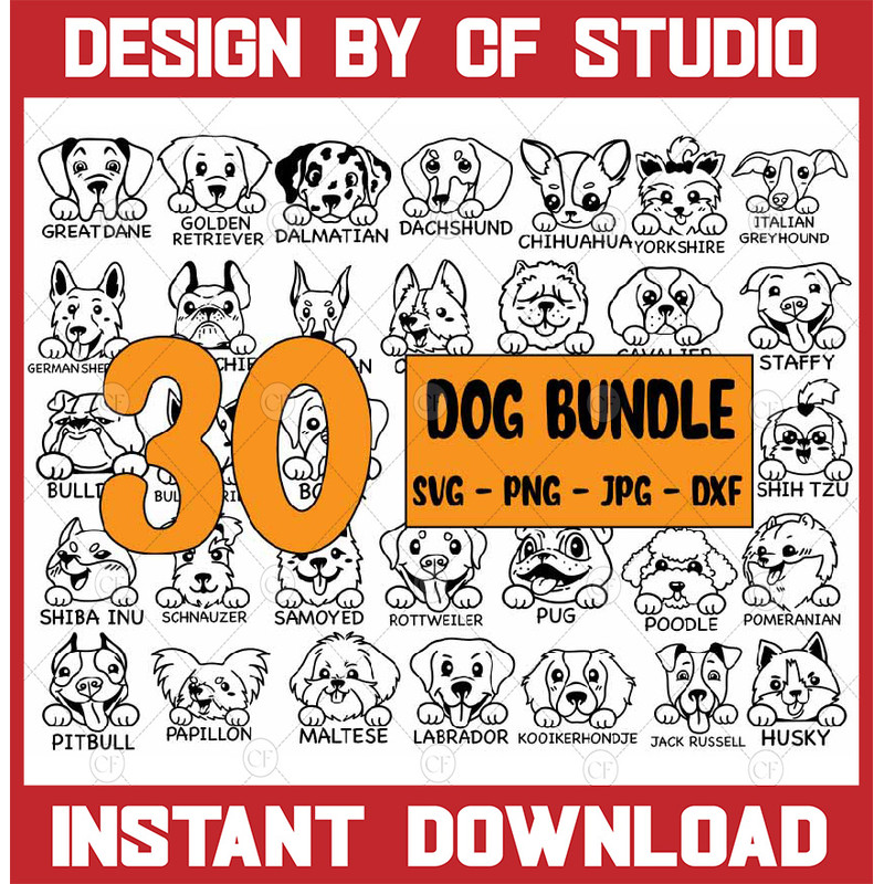 CV_8DOG1.jpg