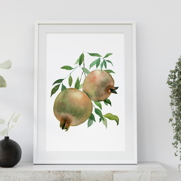 green-pomegranates-watercolour-illustration.jpg