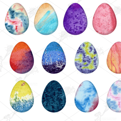 Sea eggs Watercolor clipart, PNG