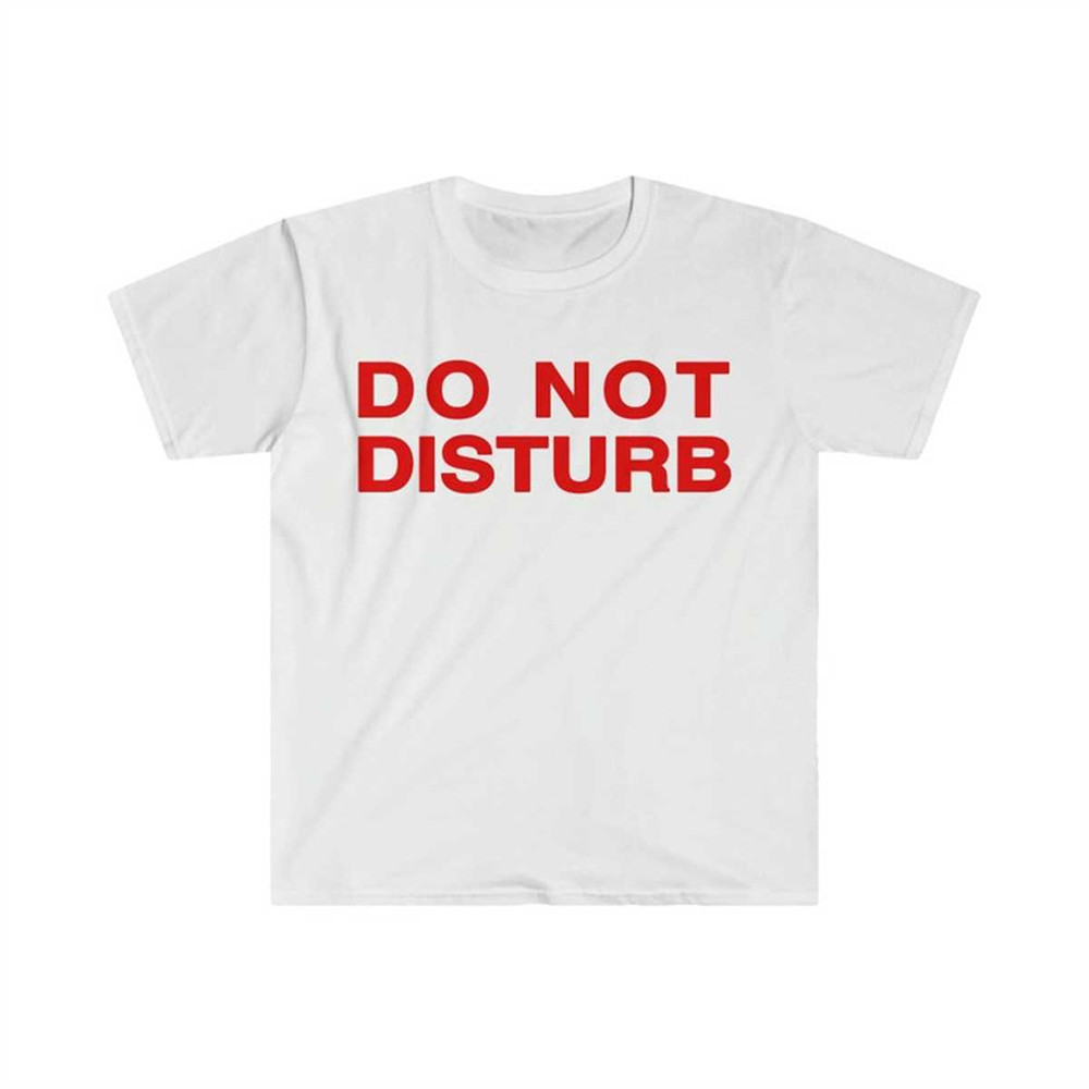 MR-1342023192525-do-not-disturb-aesthetic-baby-crop-top-2000s-inspired-tee-image-1.jpg