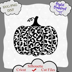halloween leopard print pumpkin svg, thanksgiving pumpkin svg, pumpkin svg, thanksgiving svg, halloween svg, cricut, png