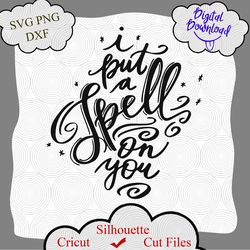 i put a spell on you svg, funny hallooween svg, witch svg, halloween shirt svg, something wicked, witch svg, funny witch