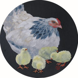 Chicken Painting Bird Original Art Animal Round Painting On Canvas Farmhouse Wall Art Pet Portrait 12" By Colibri Art