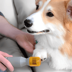 Mess-Free & Painless Dog Nail Clipper | Also For Cats