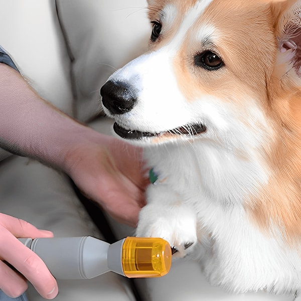 A closer look at Cat Nail Grinder With Precision Blade