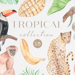 watercolor tropical clipart / tropical leaves collection / tropical wild animals / tropical fruits / png
