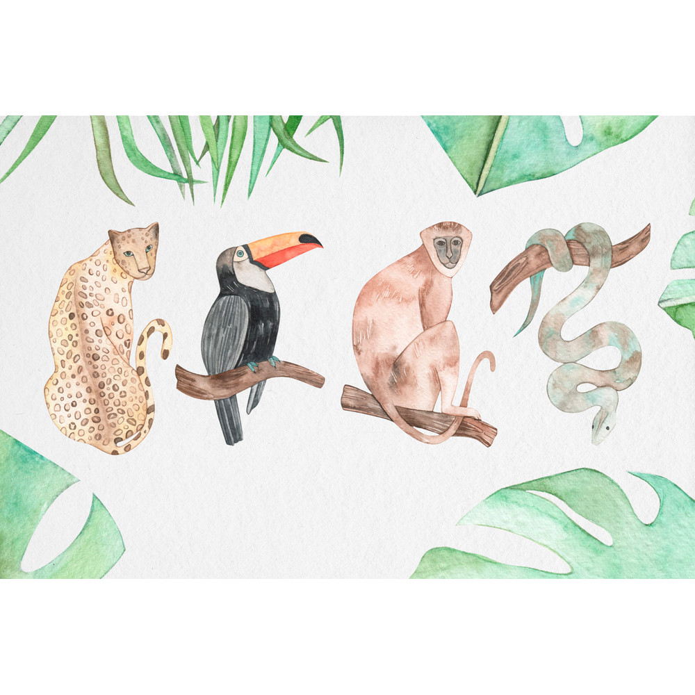 watercolor tropical clipart 05.jpg