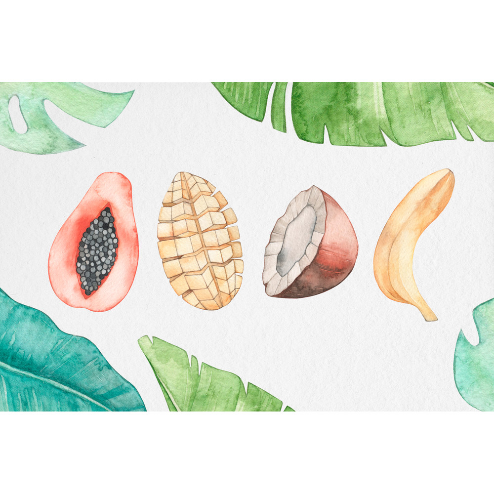 watercolor tropical clipart 06.jpg