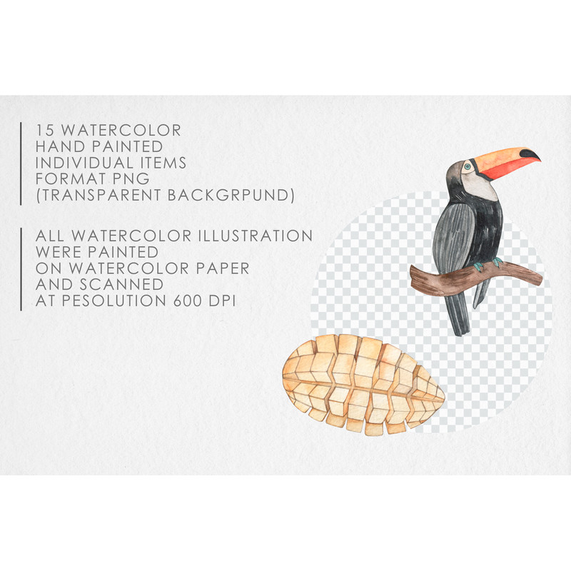 watercolor tropical clipart 03.jpg