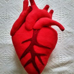 Anatomical Heart plush pillow home decor