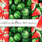 Watermelon patterns set B 01.jpg