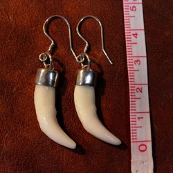 Earrings and a pendant made of fox fangs in silver.