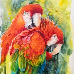 original scarlet macaw parrots watercolor painting, red birds portrait cute art