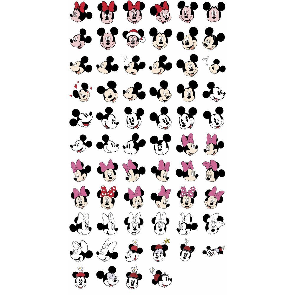 Mickey Mouse Head OK-02.jpg